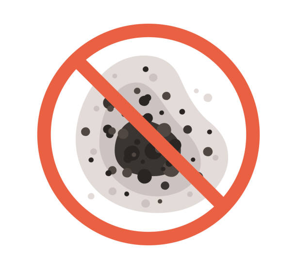 Best Forensic Mold Investigation  in Redfield, SD