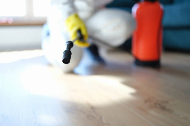 Best Mold Removal for HVAC Installations  in Redfield, SD